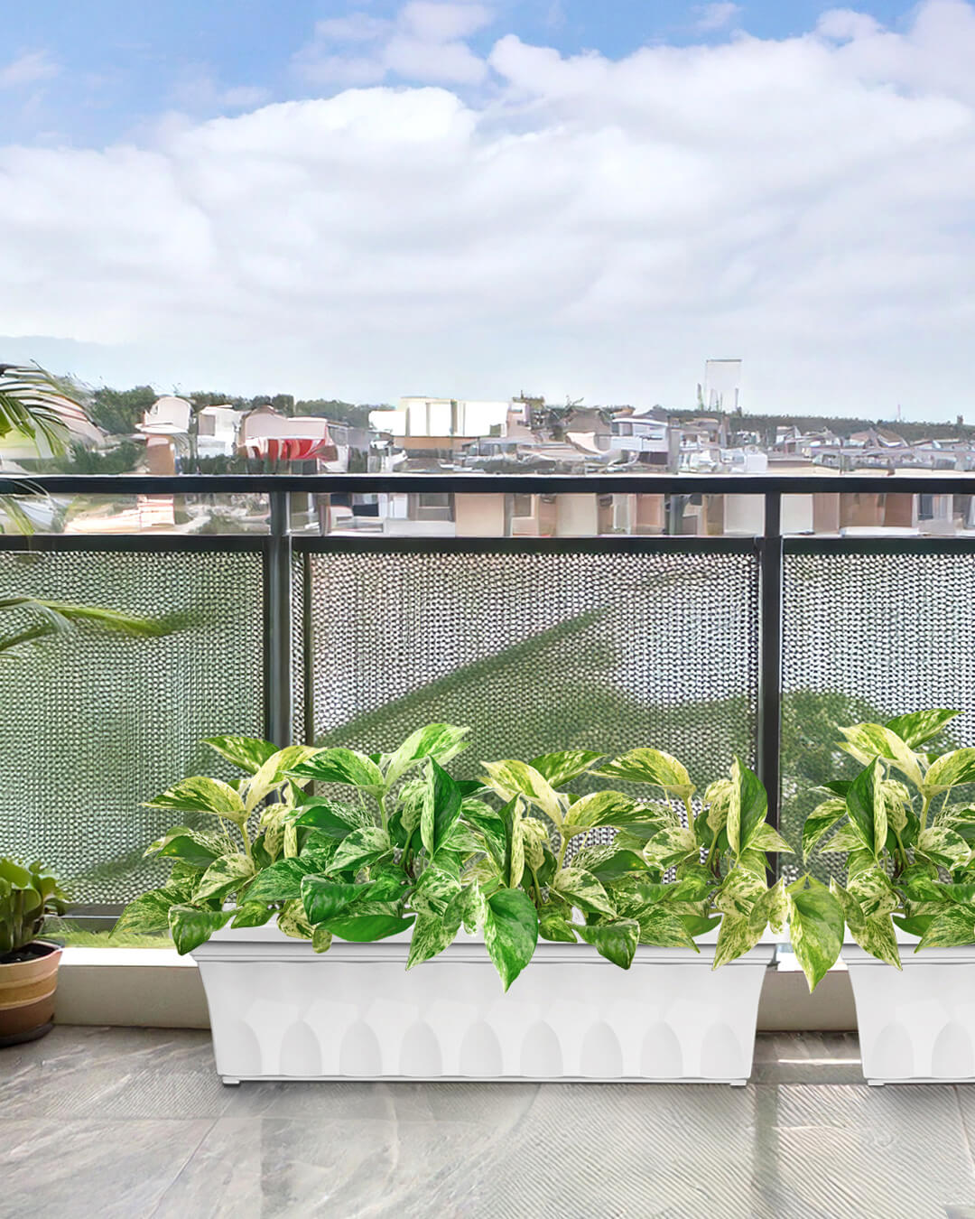 Baba large size white planter box in balcony