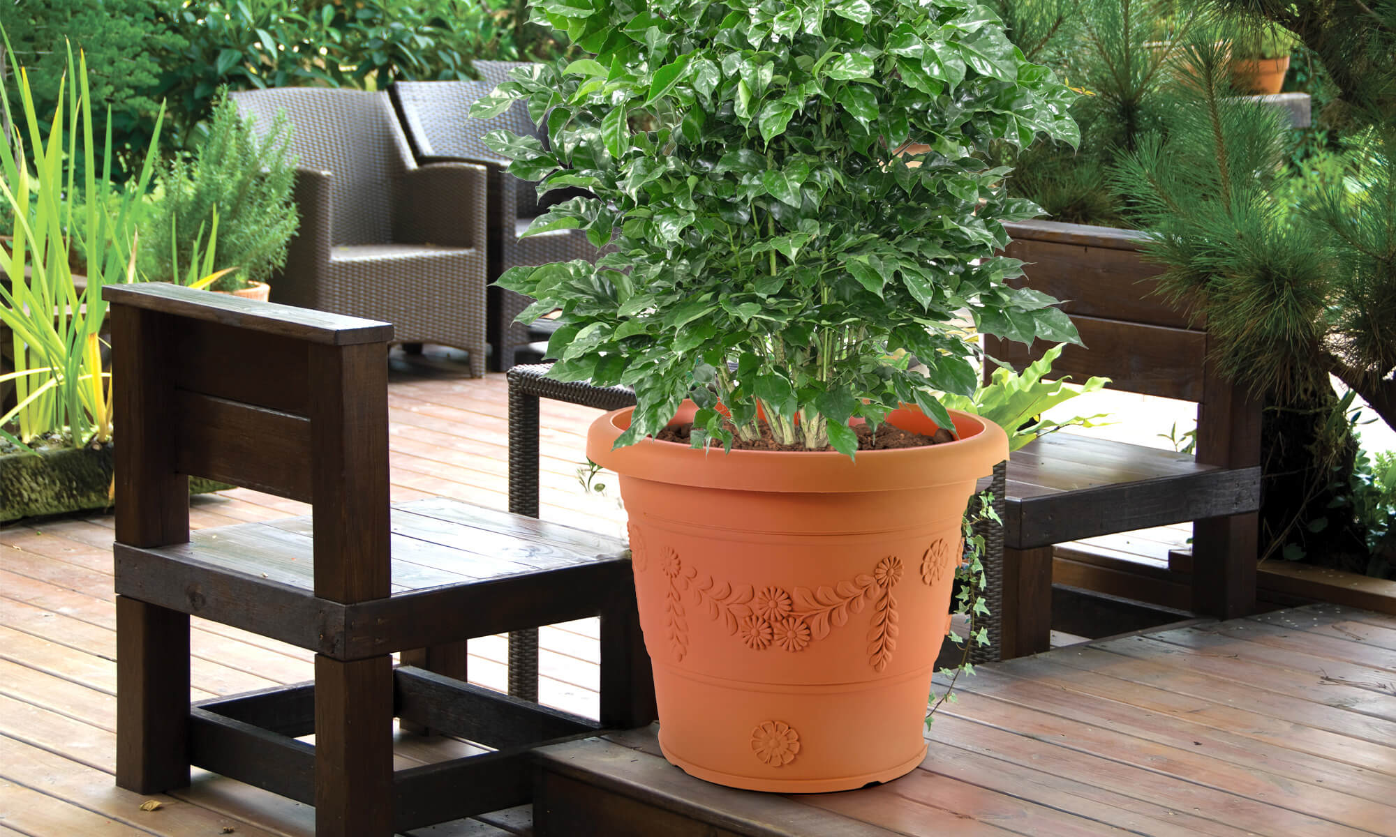 Baba large size decoration flower pot in garden