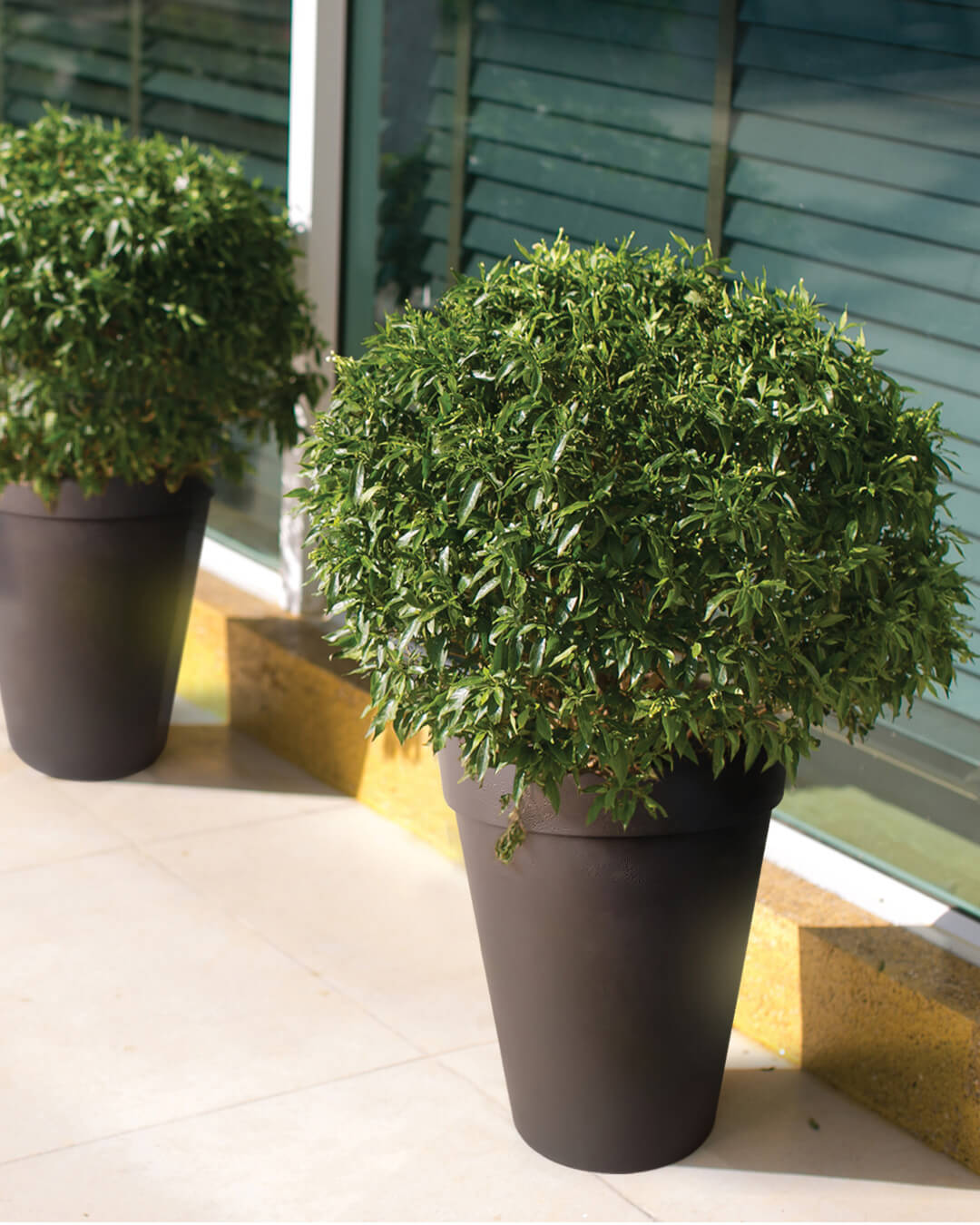 Baba self-watering decoration flower pot for landscaping