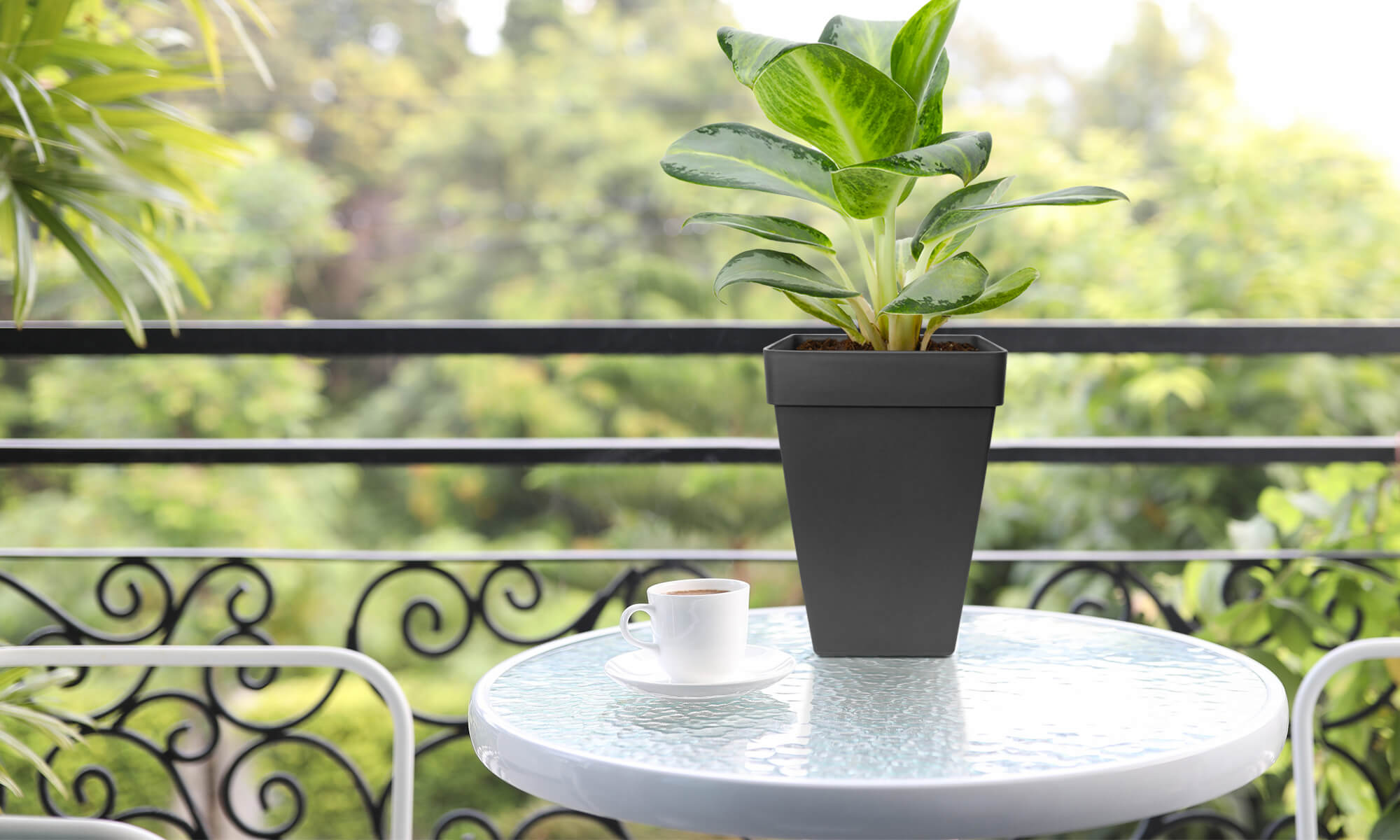 BABA ZEN GREY COLOUR SQUARE TABLE TOP FLOWER POT IN BALCONY