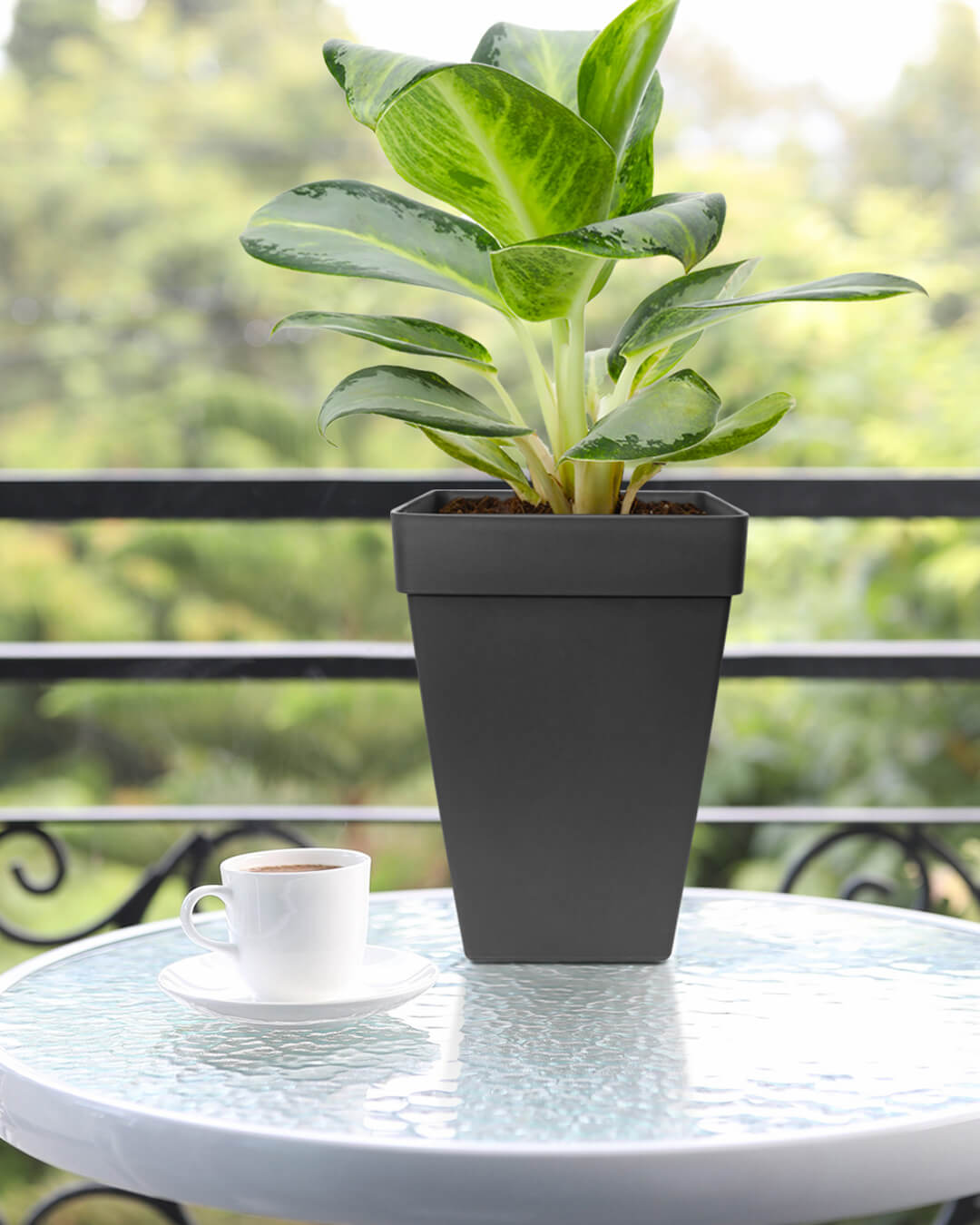 BABA ZEN GREY COLOUR SQUARE TABLE TOP FLOWER POT IN BALCONY-1