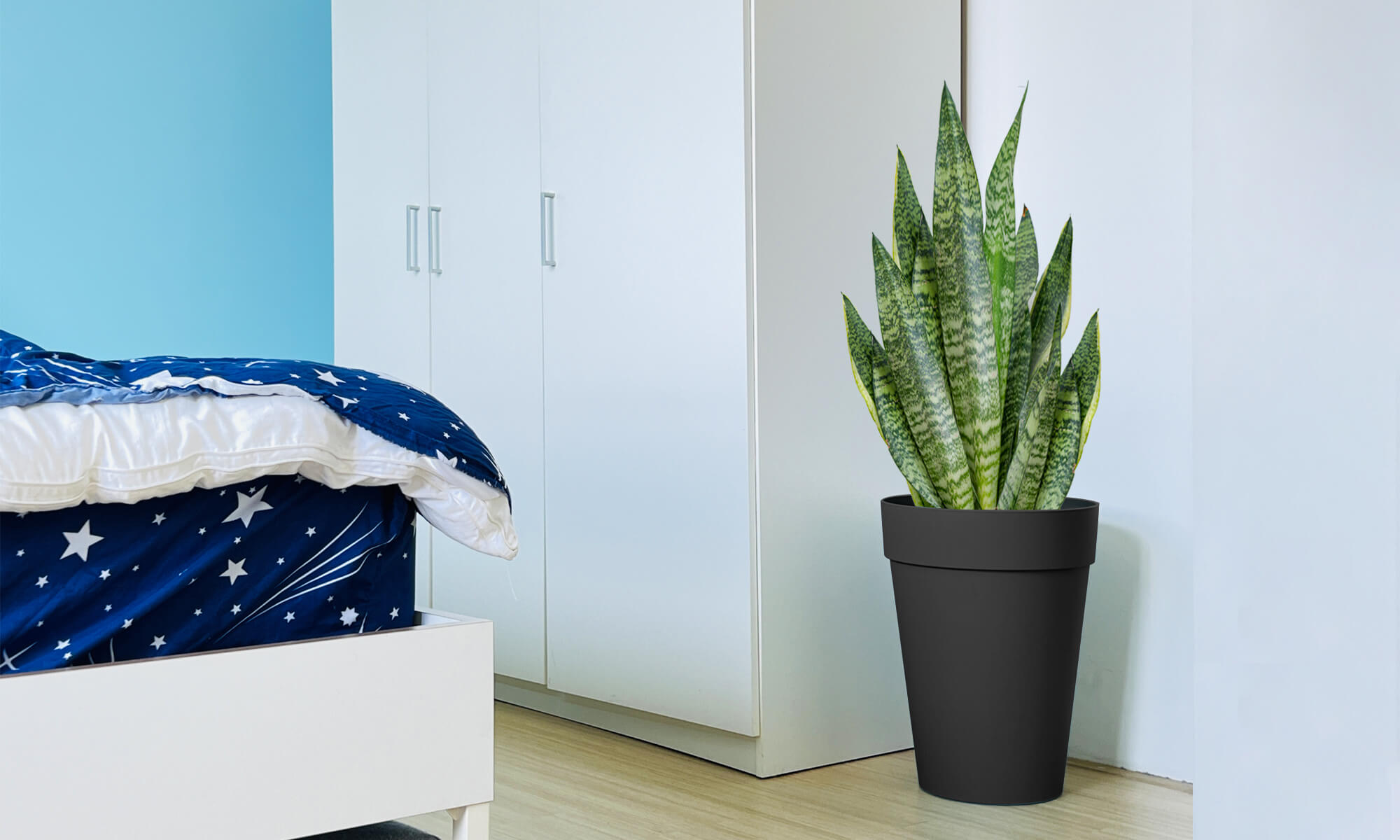 BABA ZEN GREY COLOUR FLOWER POT IN BEDROOM DECORATION