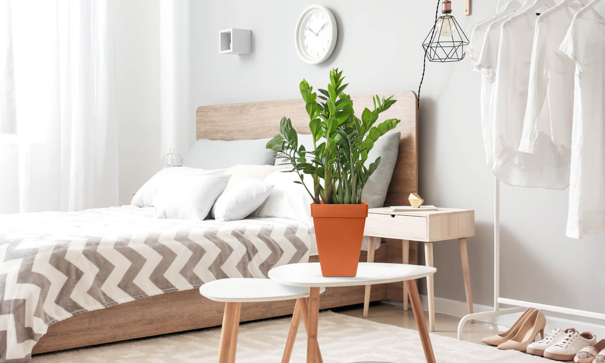 BABA COTTA COLOUR TABLE TOP FLOWER POT IN BEDROOM