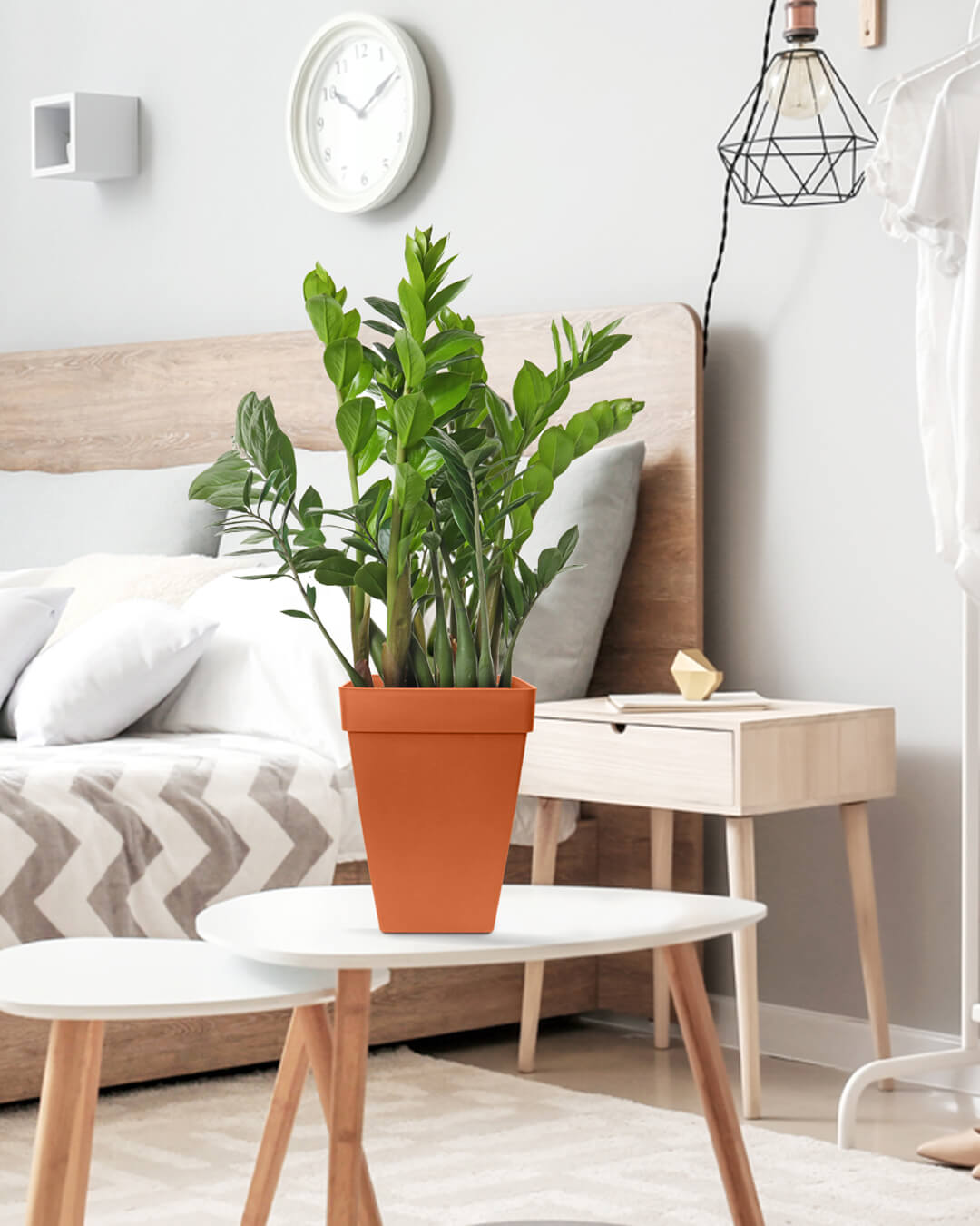 BABA COTTA COLOUR TABLE TOP FLOWER POT IN BEDROOM-1