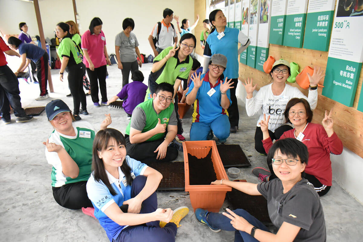 Planting session in Baba farm activity