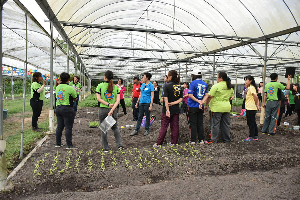 Planting briefing session in Baba vege farm