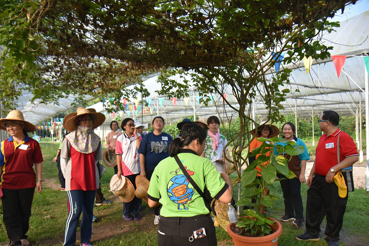 Know about plant with Baba