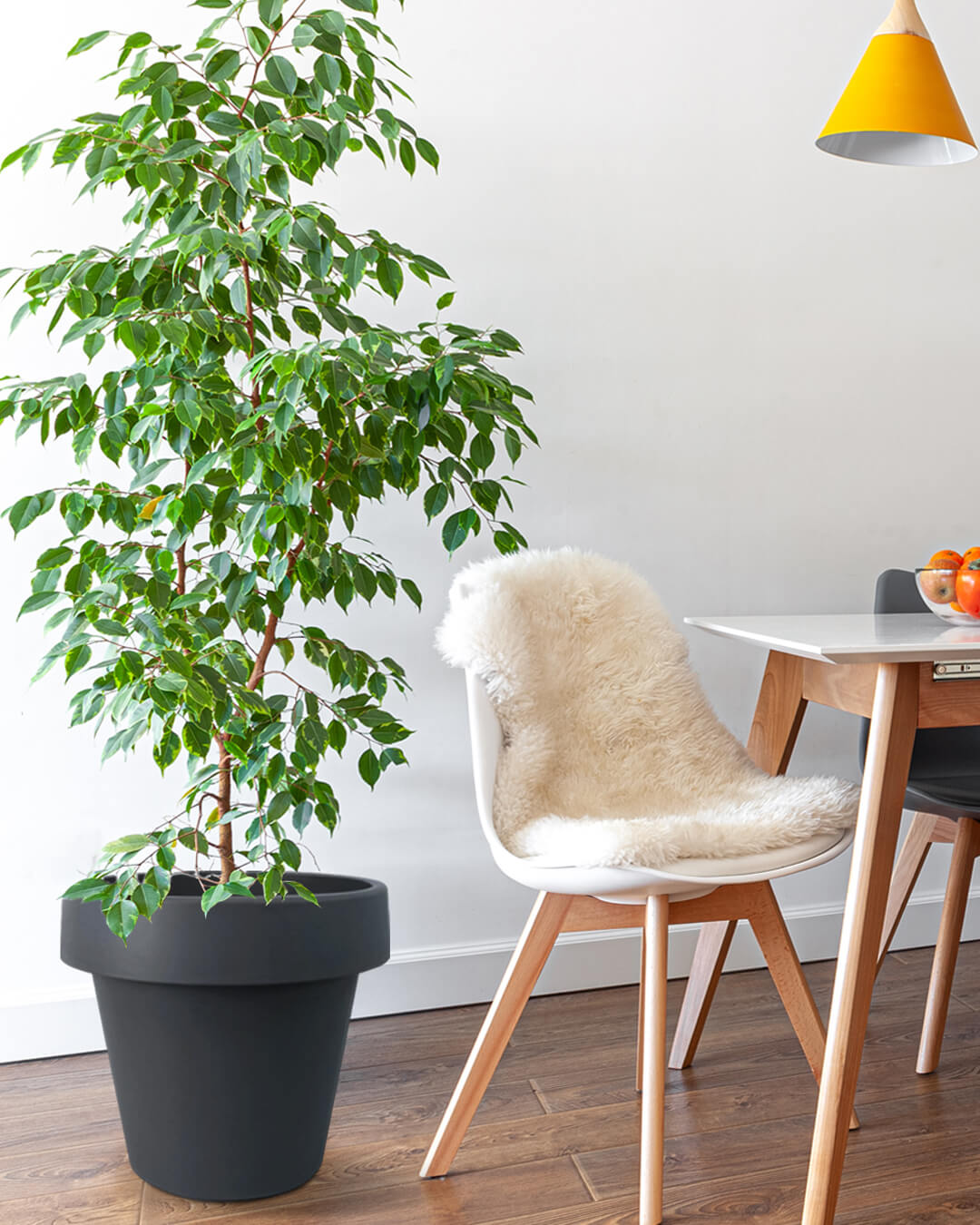 BABA ZEN GREY COLOUR FLOWER POT IN DINING ROOM DECORATION-1