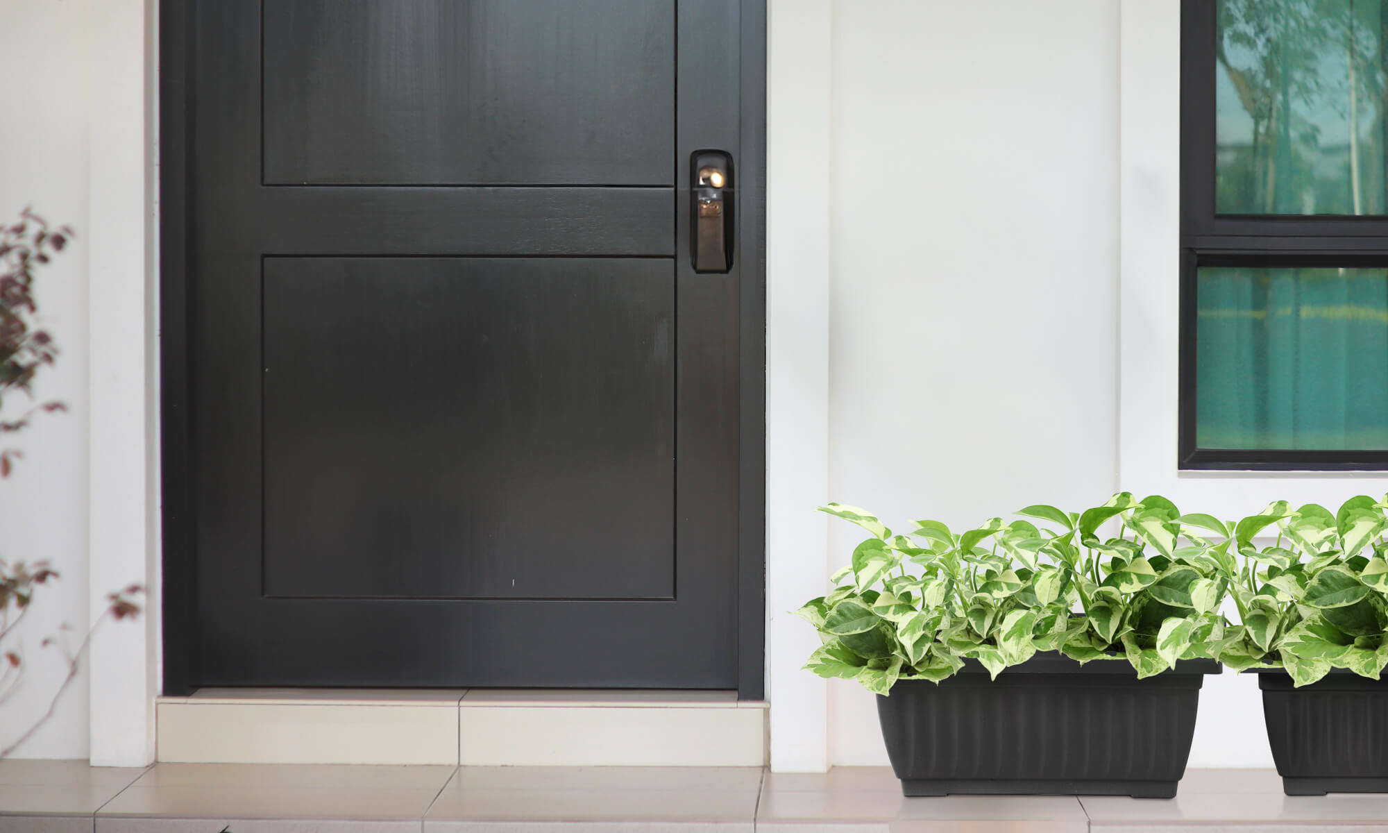 Baba large planter box at doorstep for planting