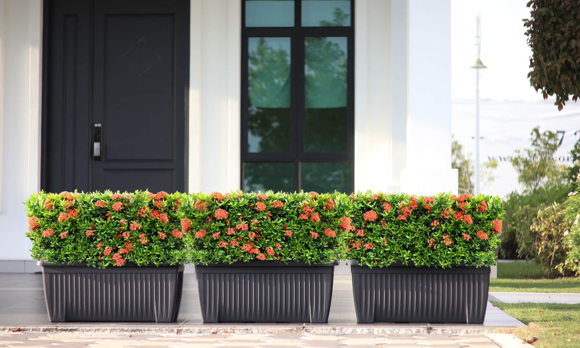 Baba planter box with rectangular size for landscaping