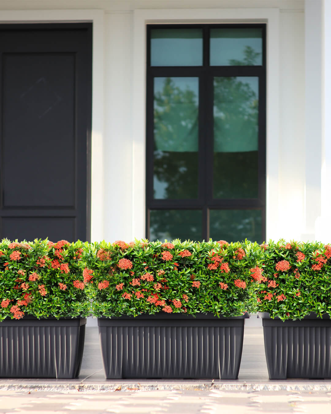 Baba planter box with rectangular size for landscaping