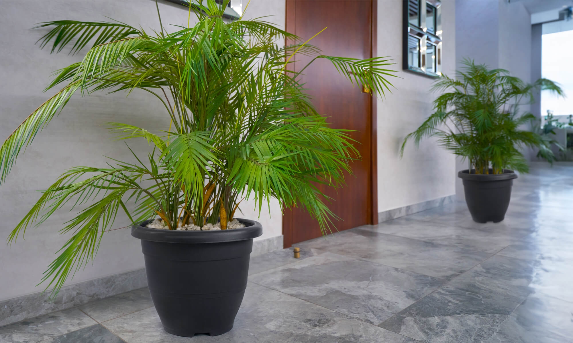 Baba biodegradable decoration flower pot for doorstep