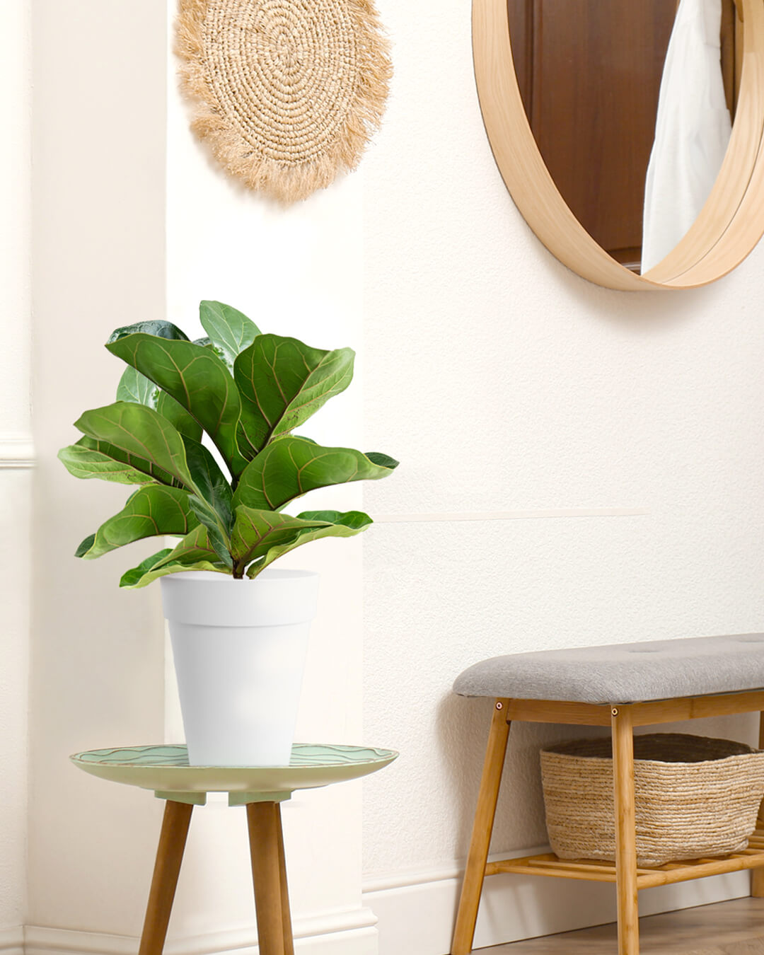 BABA WHITE COLOUR TABLE TOP FLOWER POT IN DOORSTEP-1