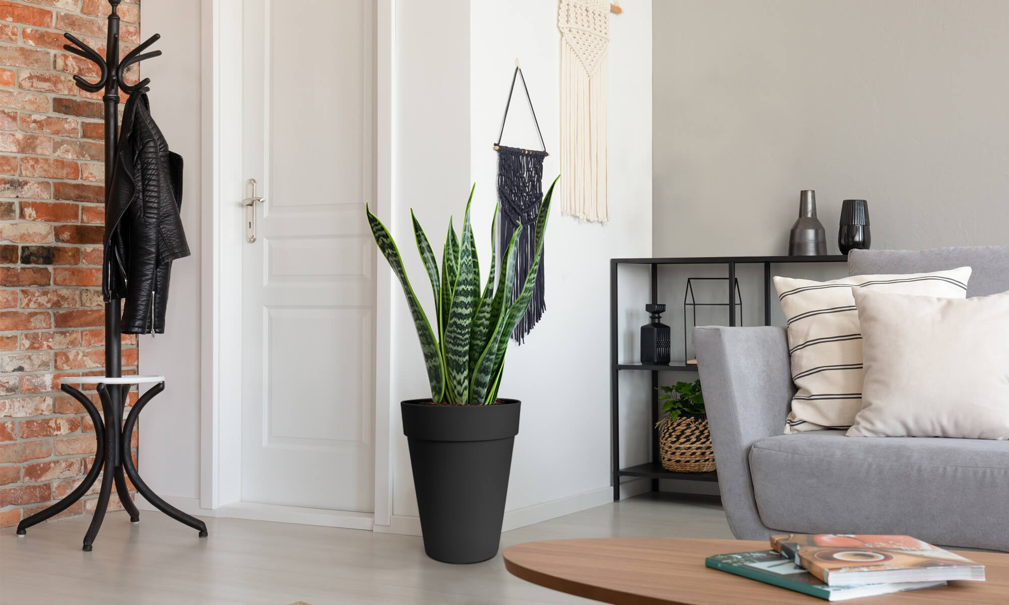 BABA ZEN GREY COLOUR FLOWER POT IN DOORSTEP