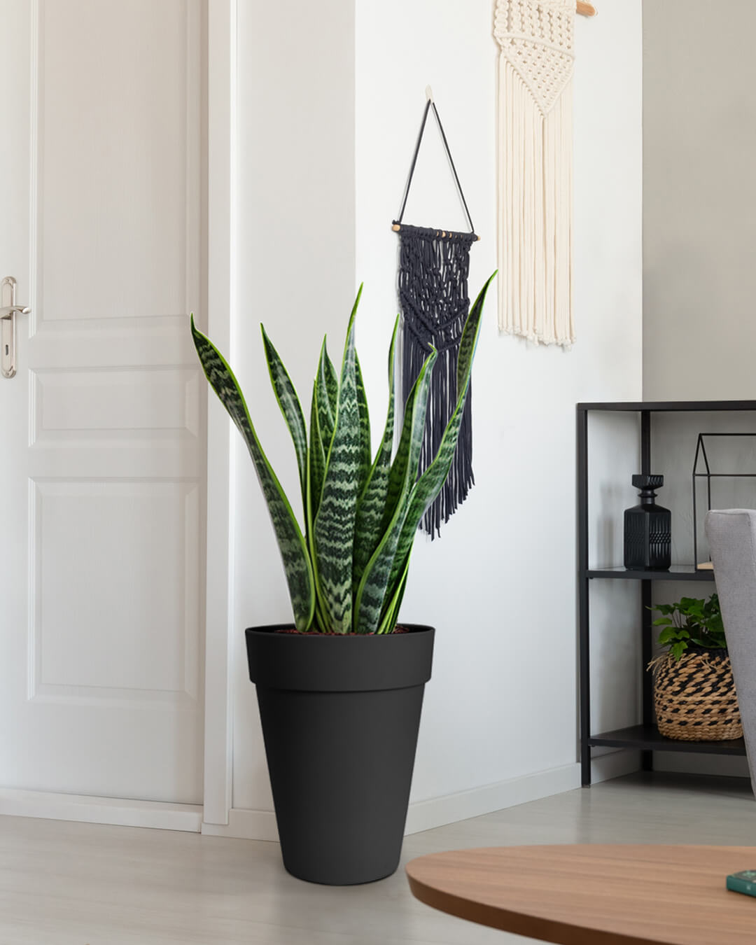 BABA ZEN GREY COLOUR FLOWER POT IN DOORSTEP-1