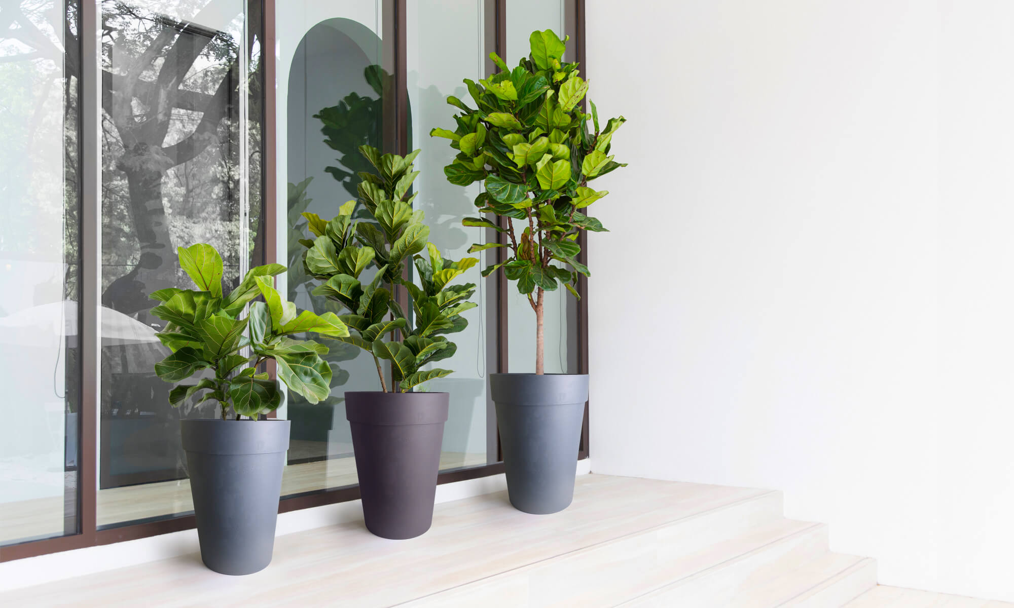 Baba self-watering decoration flower pot for doorstep