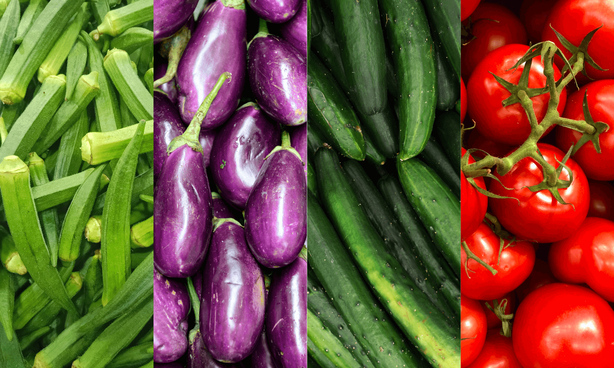 Melon vegetable planting tips at home