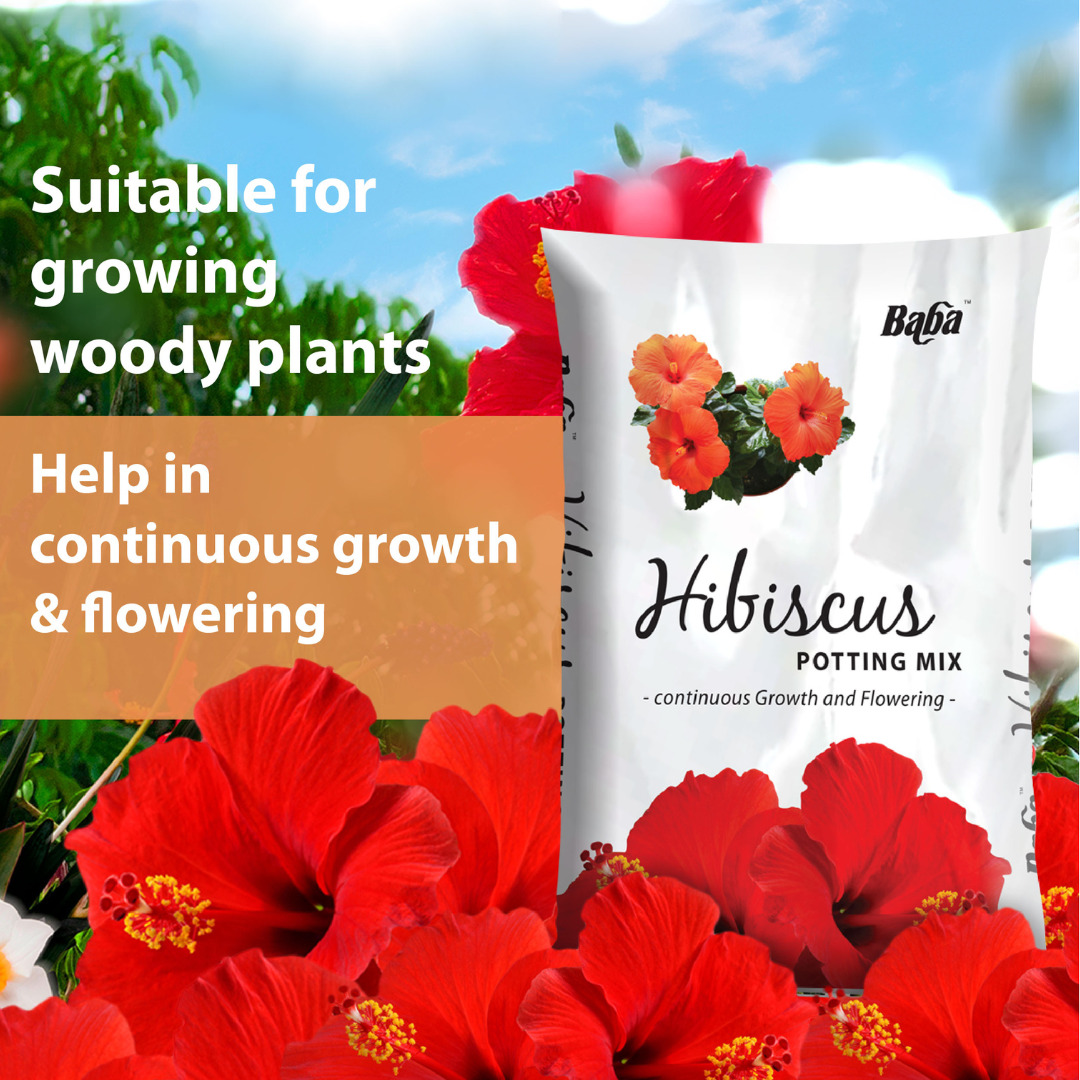 Hibiscus Potting Mix