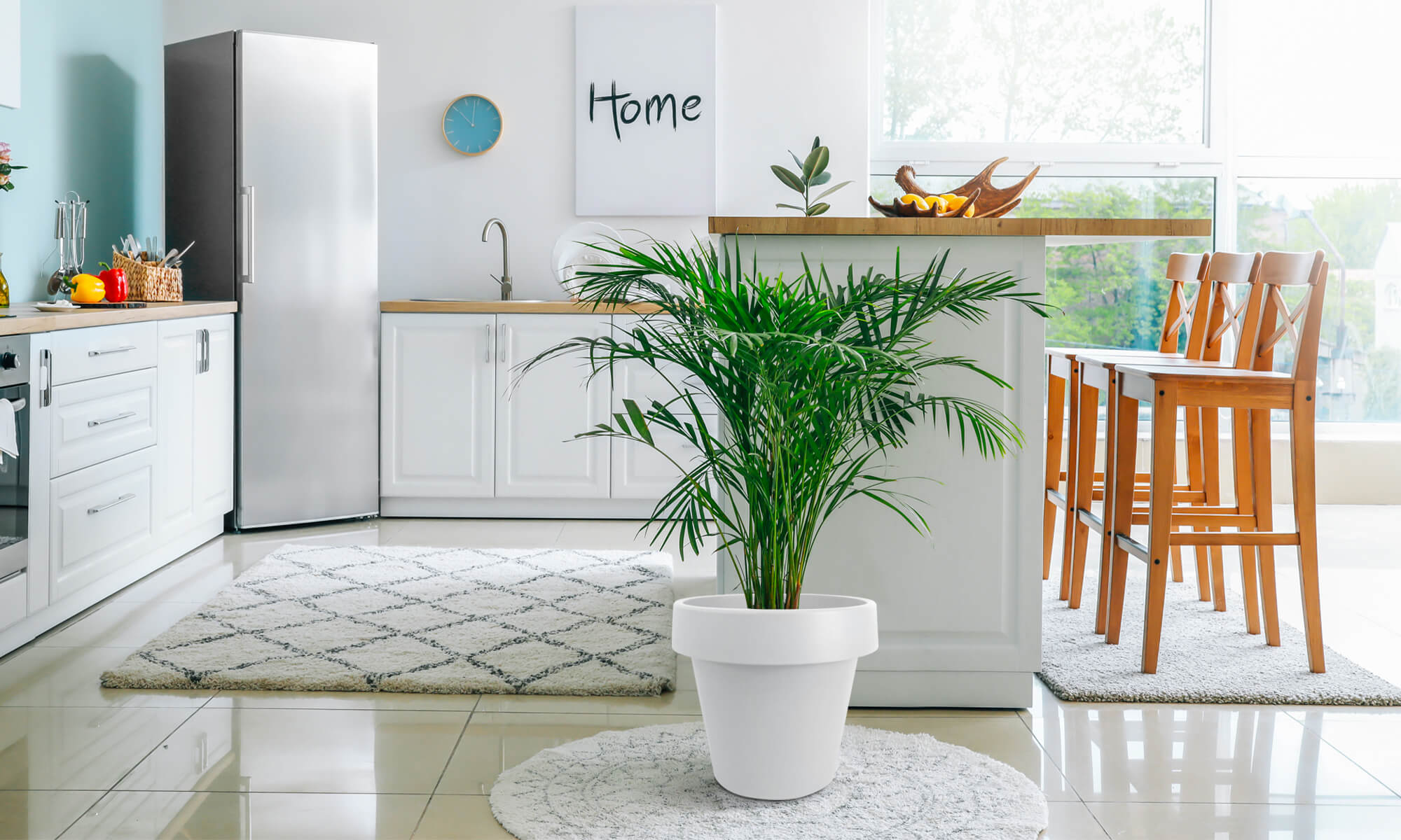 BABA WHITE COLOUR FLOWER POT IN KITCHEN