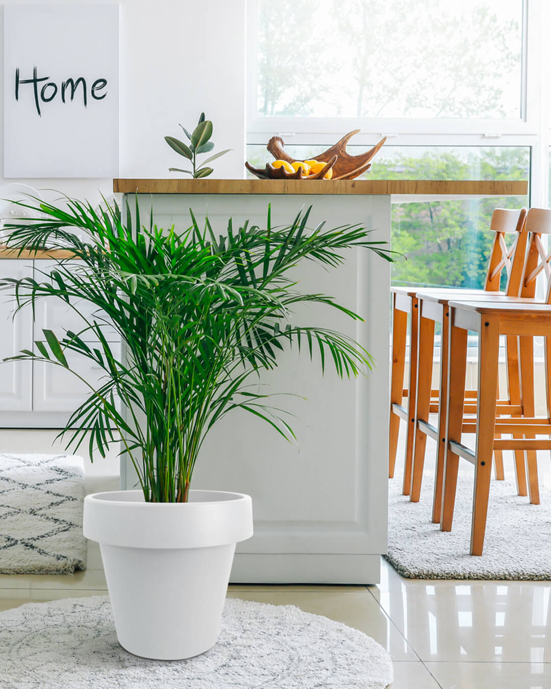 BABA WHITE COLOUR FLOWER POT IN KITCHEN-1