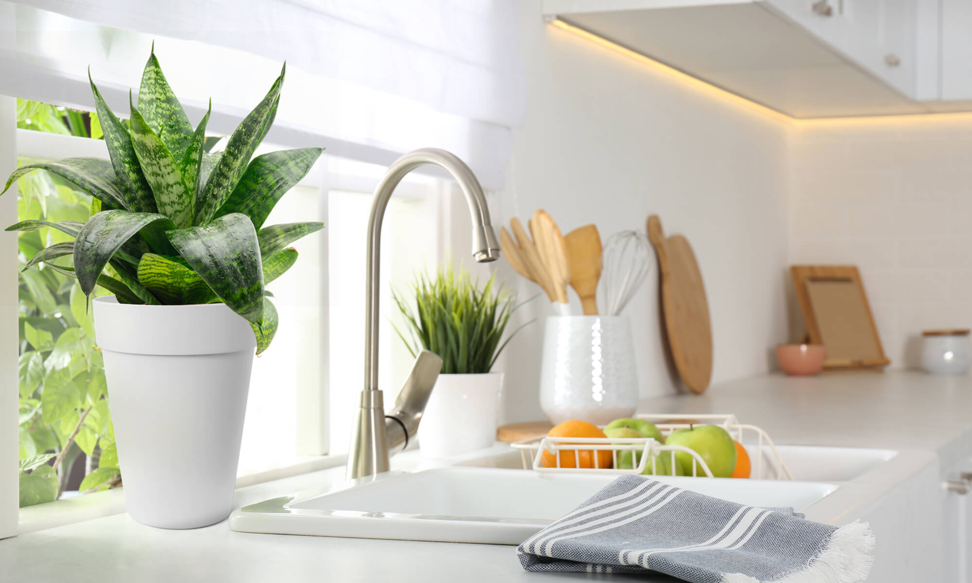 BABA WHITE COLOUR TABLE TOP FLOWER POT IN KITCHEN