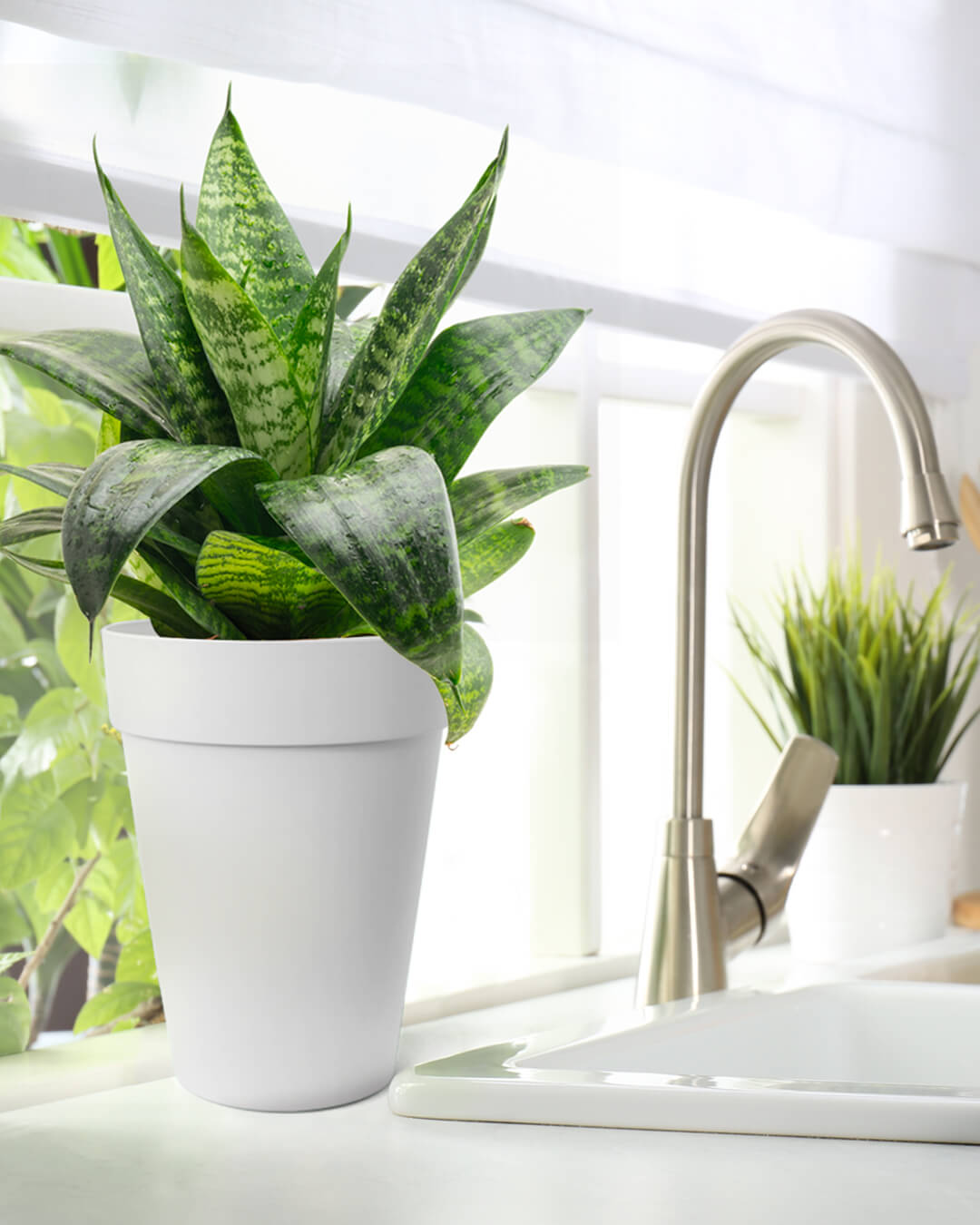 BABA WHITE COLOUR TABLE TOP FLOWER POT IN KITCHEN-1