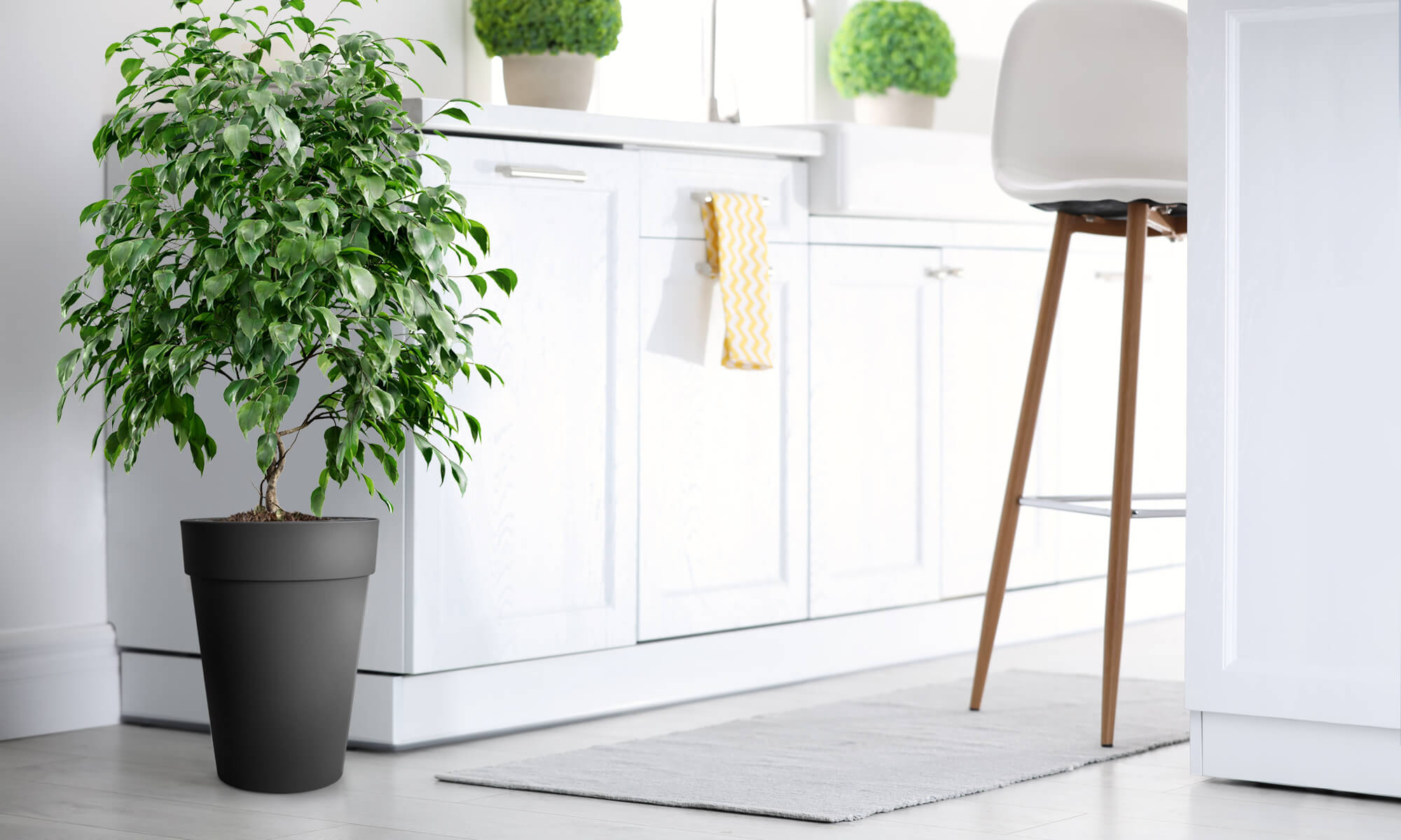 BABA ZEN GREY COLOUR FLOWER POT IN KITCHEN DECORATION