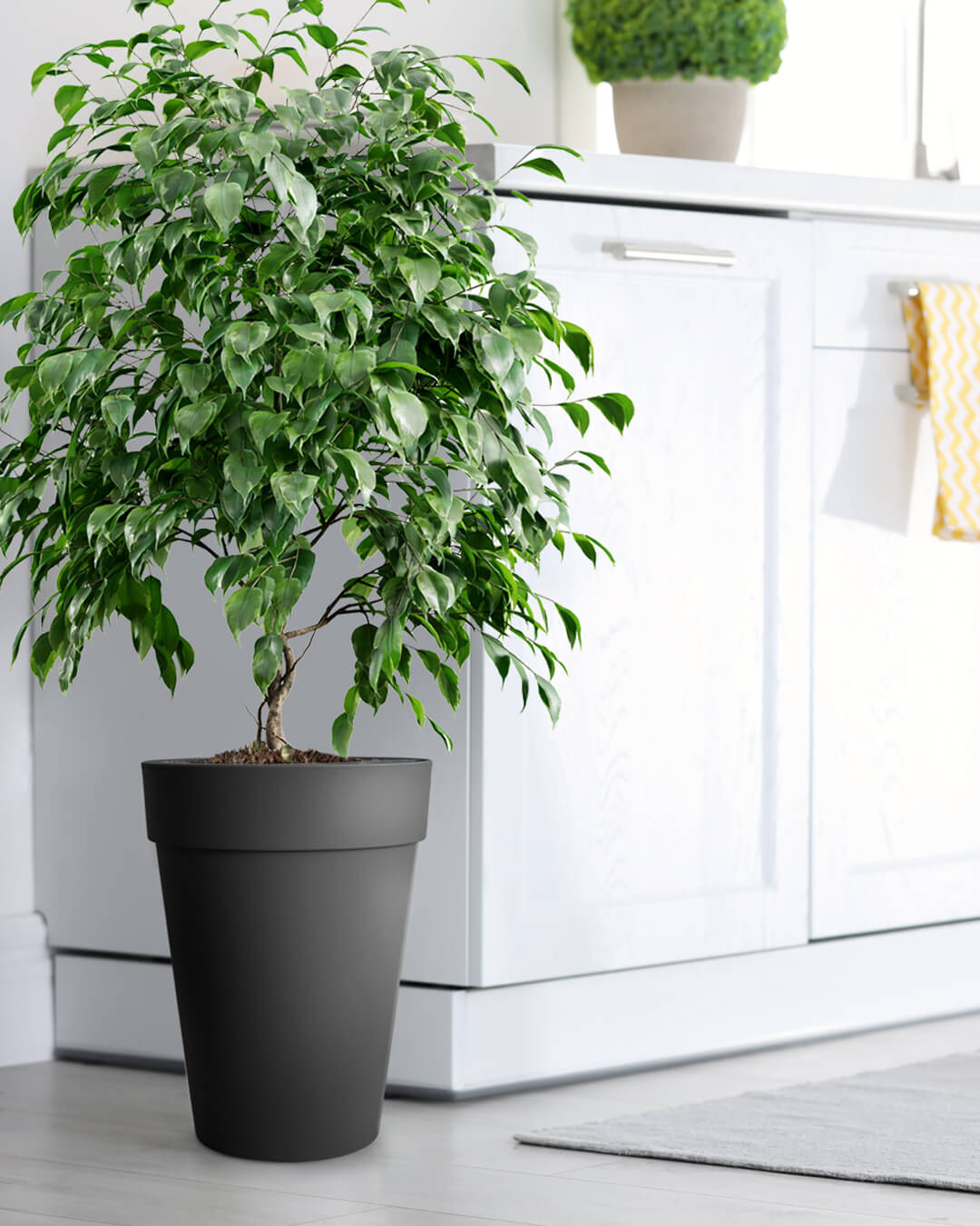 BABA ZEN GREY COLOUR FLOWER POT IN KITCHEN DECORATION