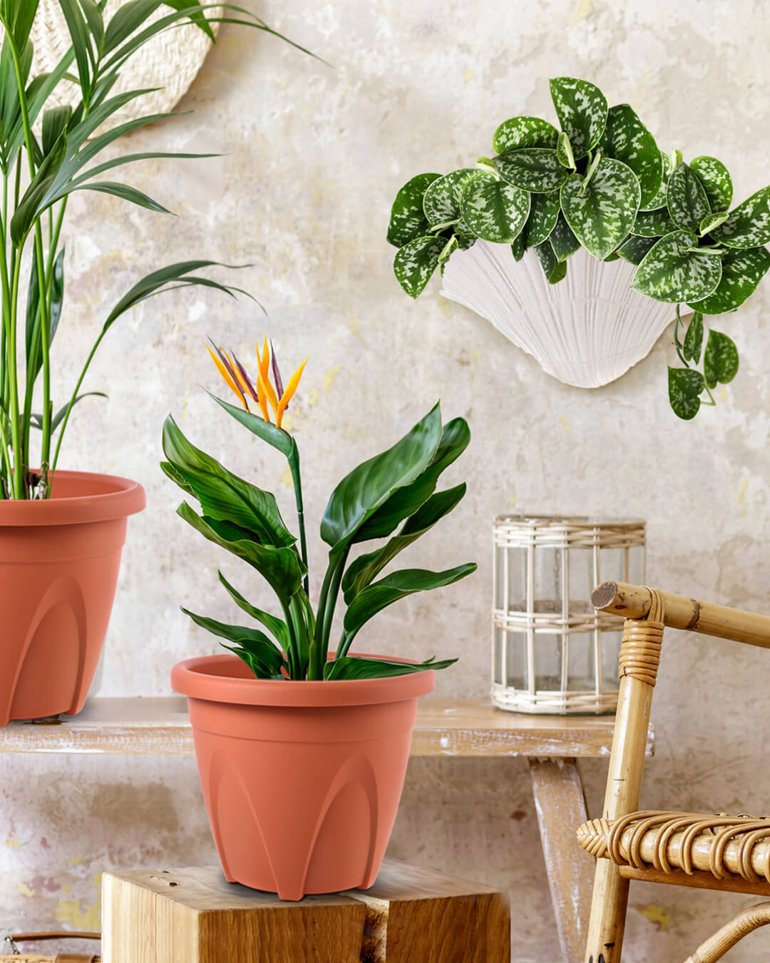 Baba biodegradable medium decoration flower pot for indoor plant bird of paradise