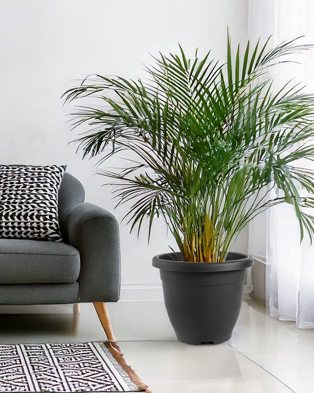 Baba biodegradable medium decoration flower pot for indoor