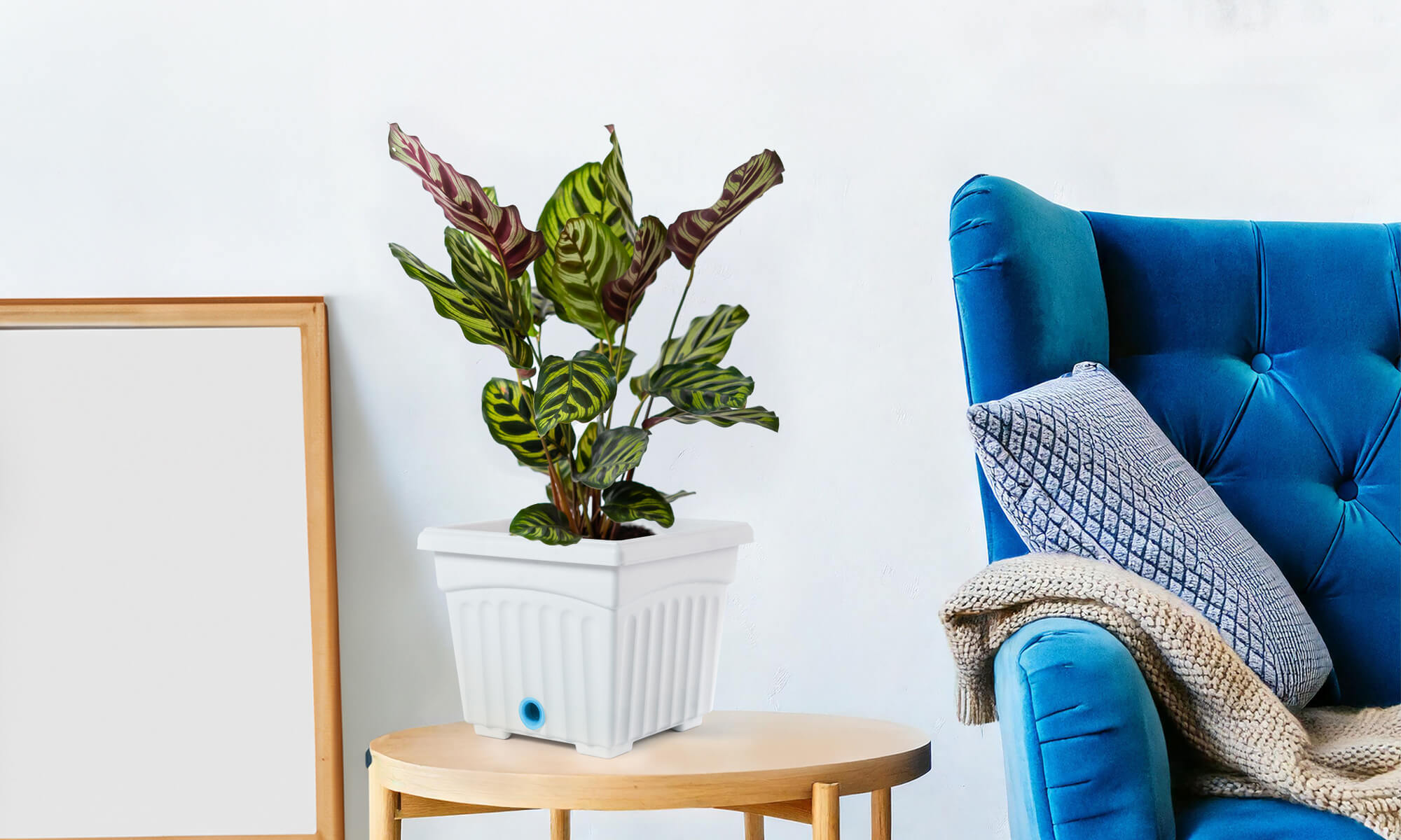 Baba square decoration flower pot for indoor