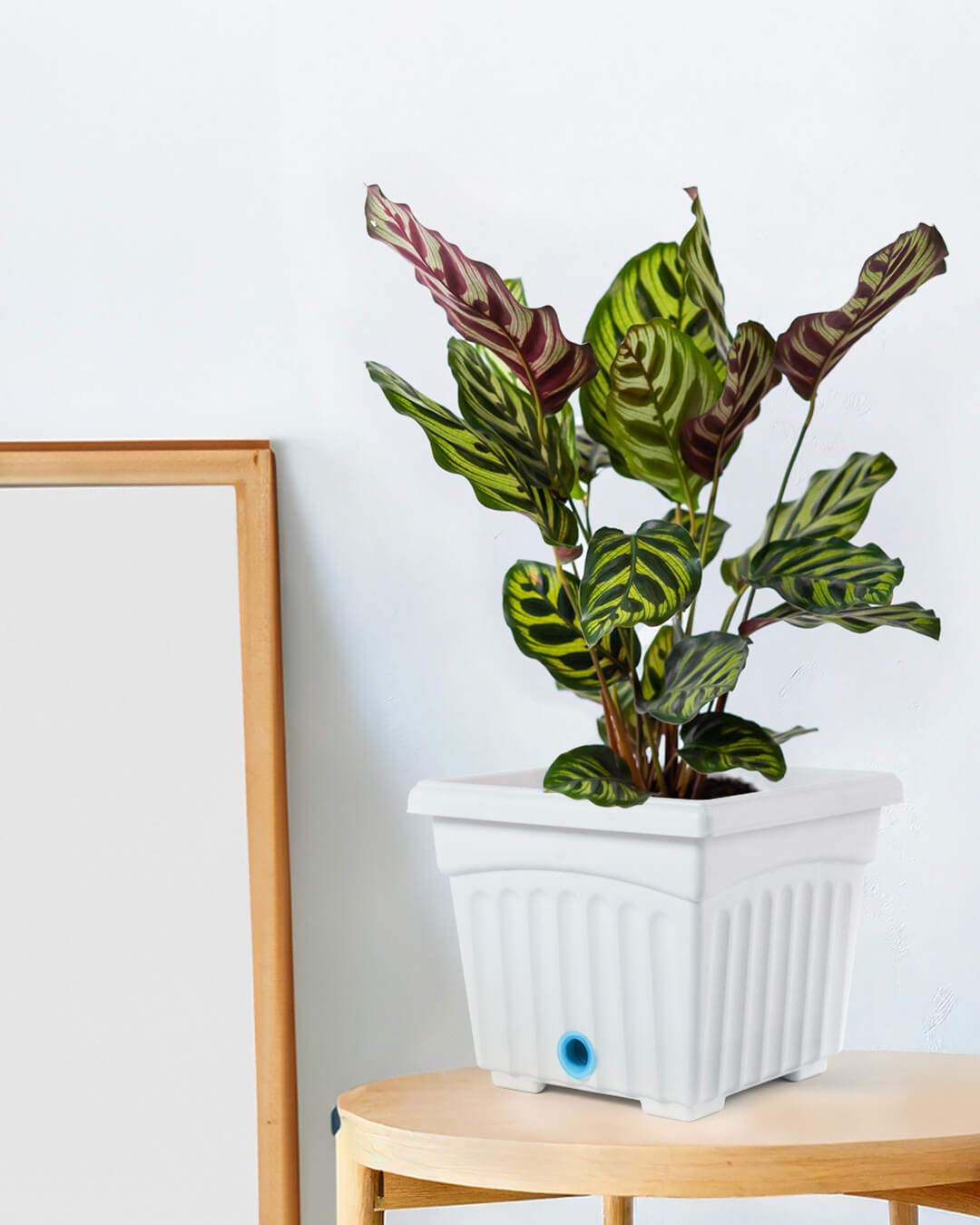 Baba square decoration flower pot for indoor