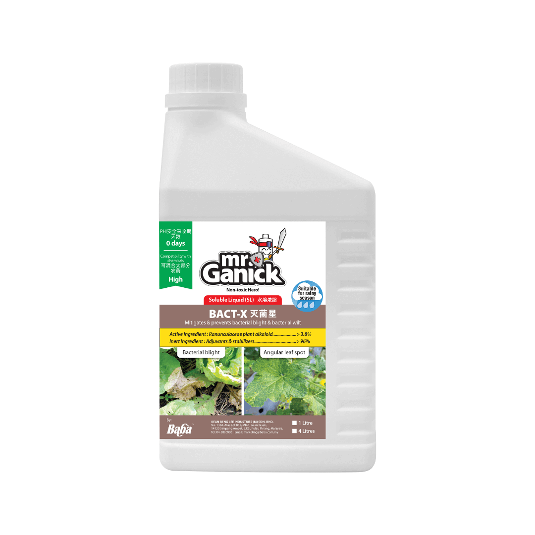 Mr Ganick Bact-X concentrate product photo