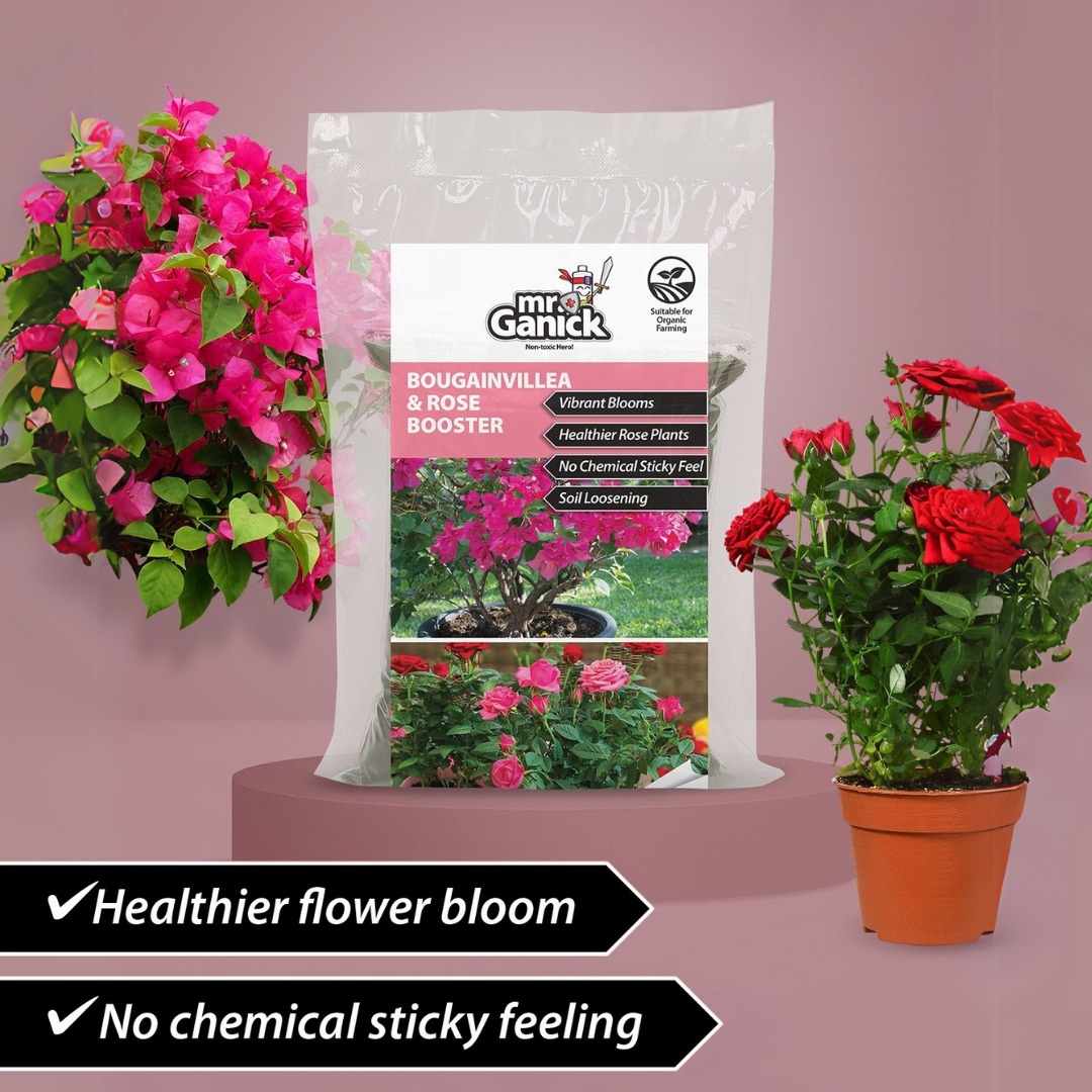 Bougainvillea & Rose Booster