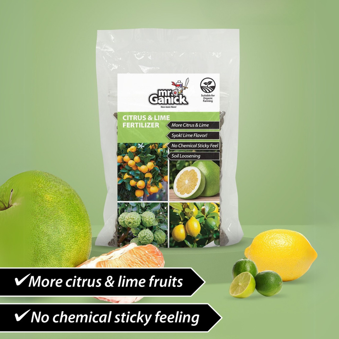 Citrus & Lime Fertilizer
