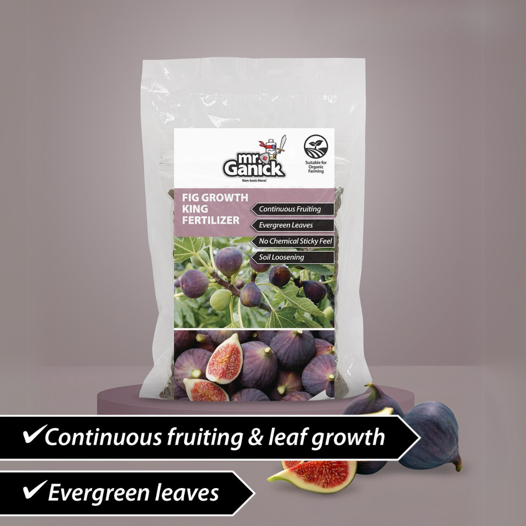 Fig Growth King Fertilizer