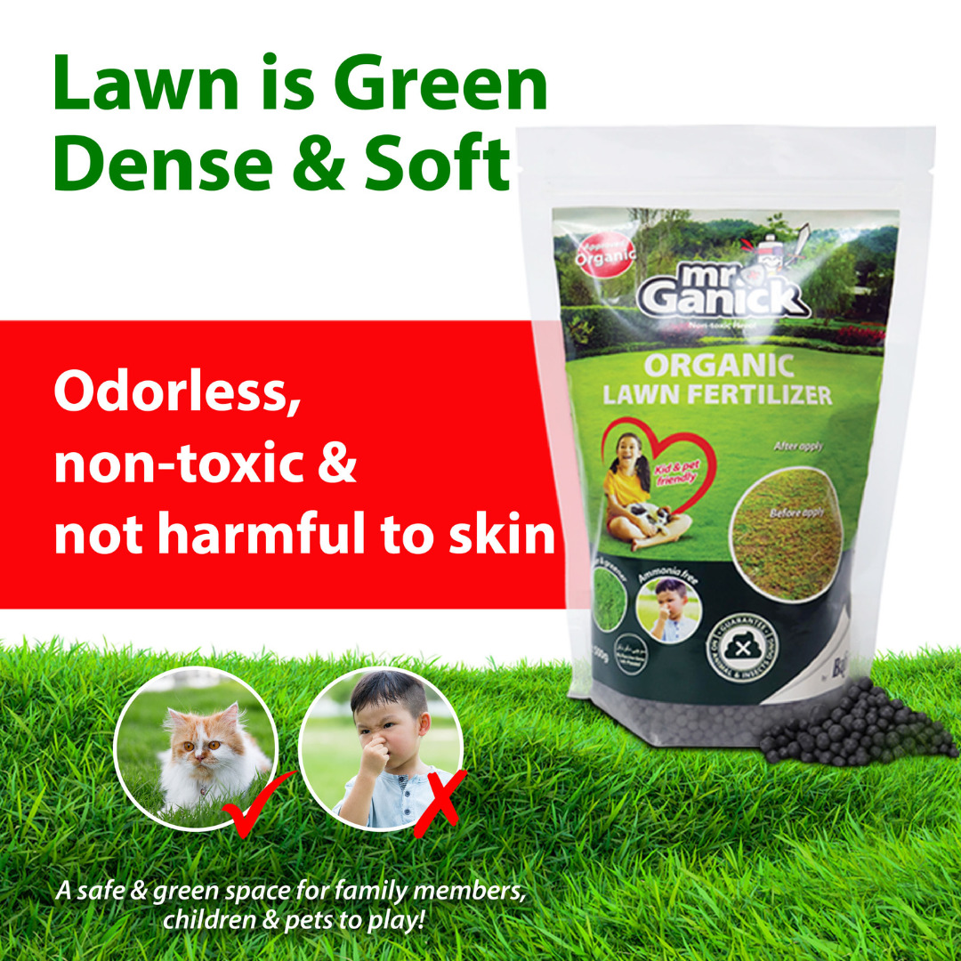 Organic Lawn Fertilizer