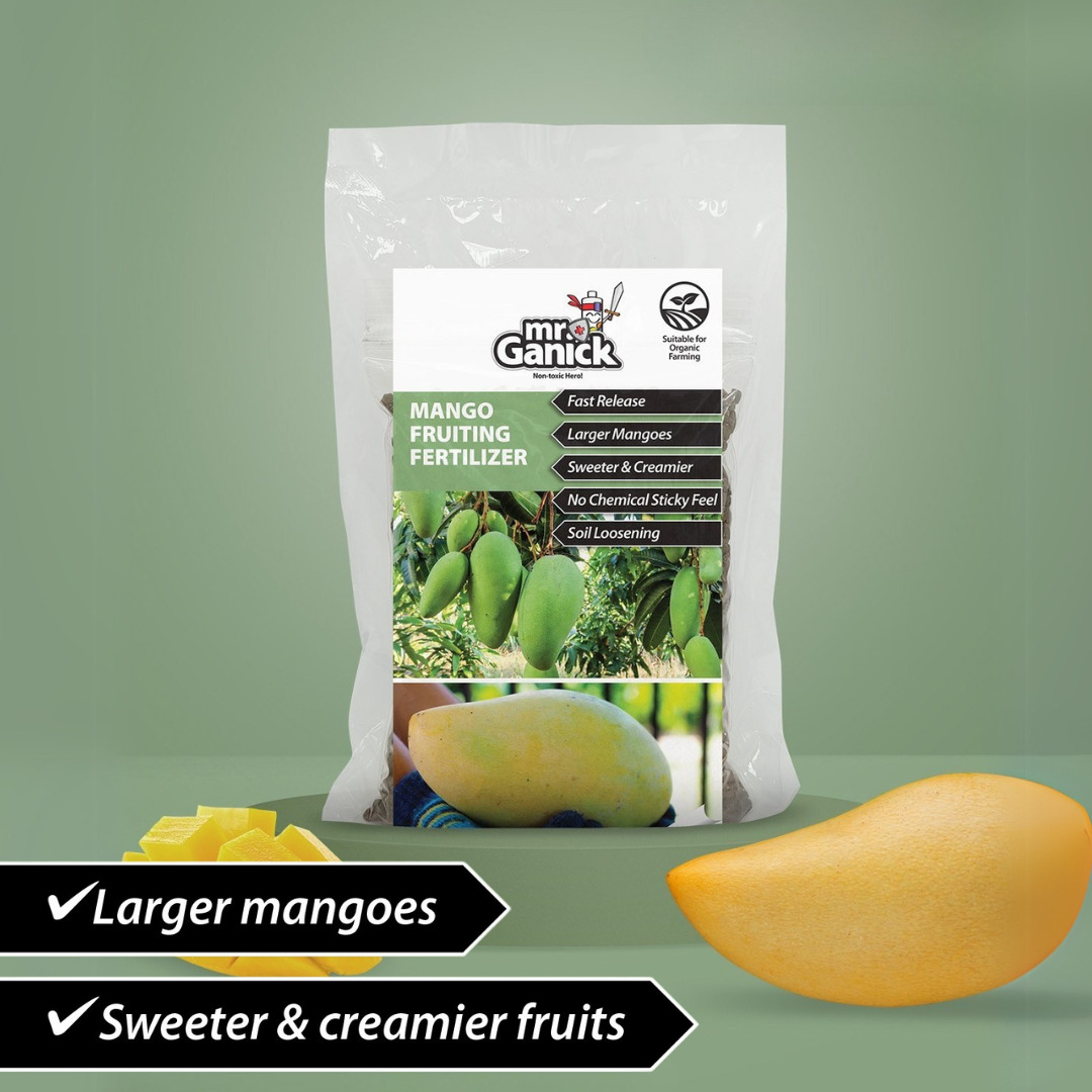 Mango Fruiting Fertilizer