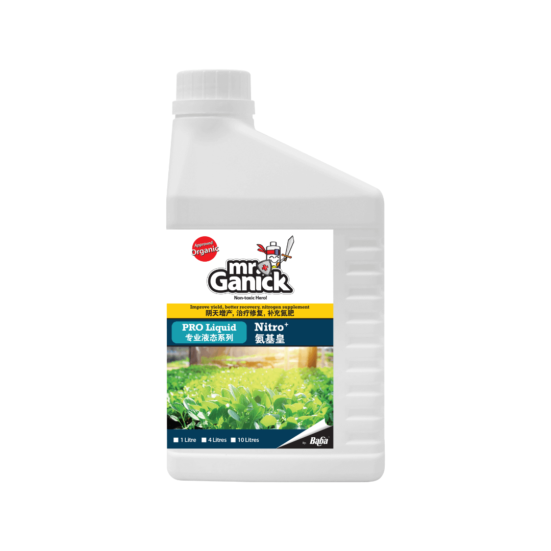 Mr Ganick Nitro+ product photo