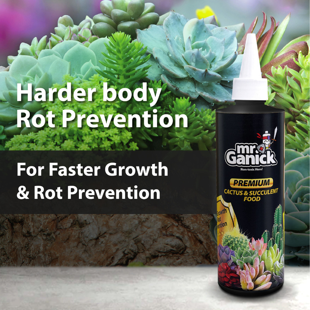 Premium Cactus & Succulent Food