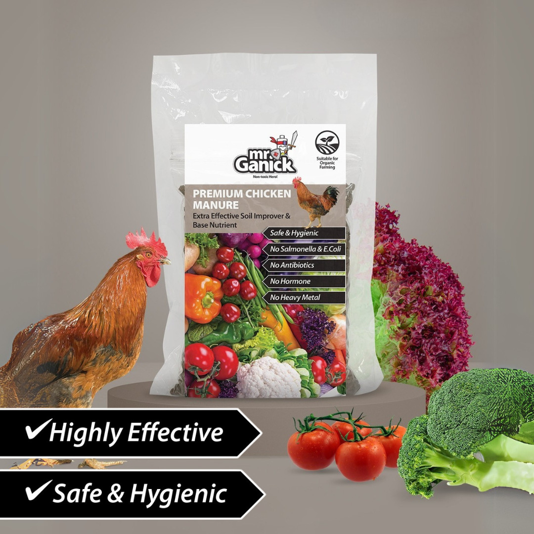 Premium Chicken Manure