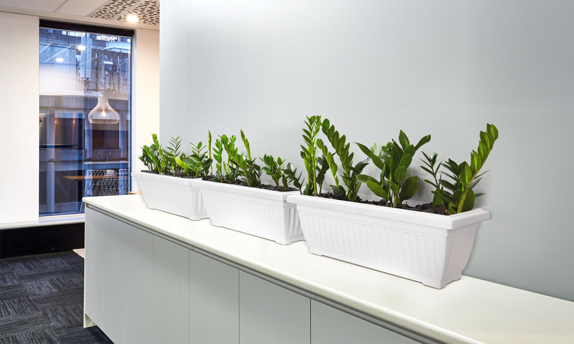 Baba large size white planter box in office