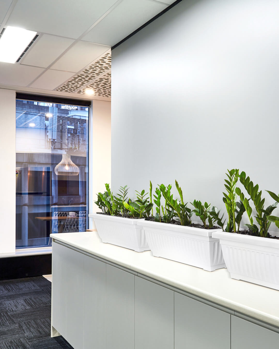 Baba large size white planter box in office