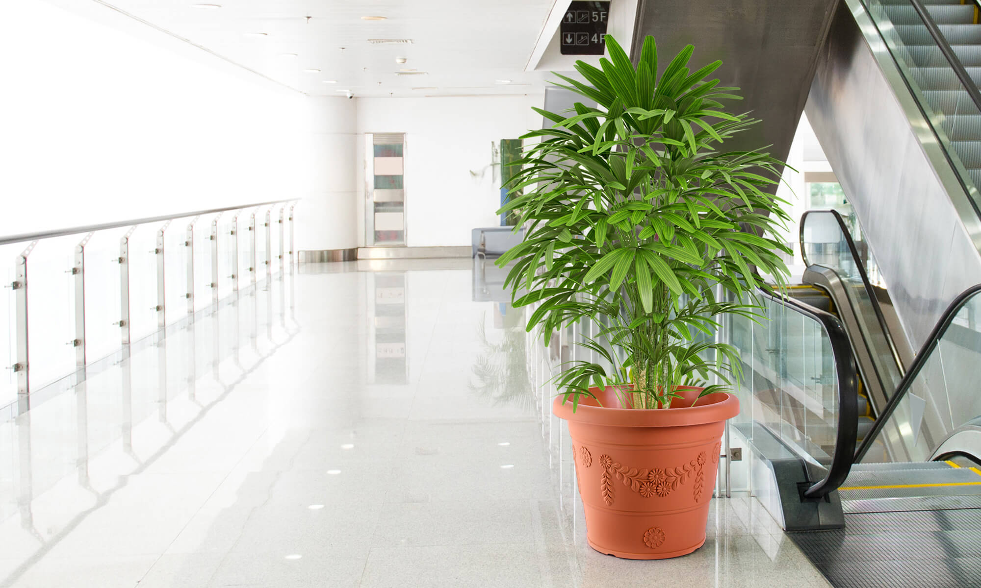 Baba large decoration flower pot in lobby