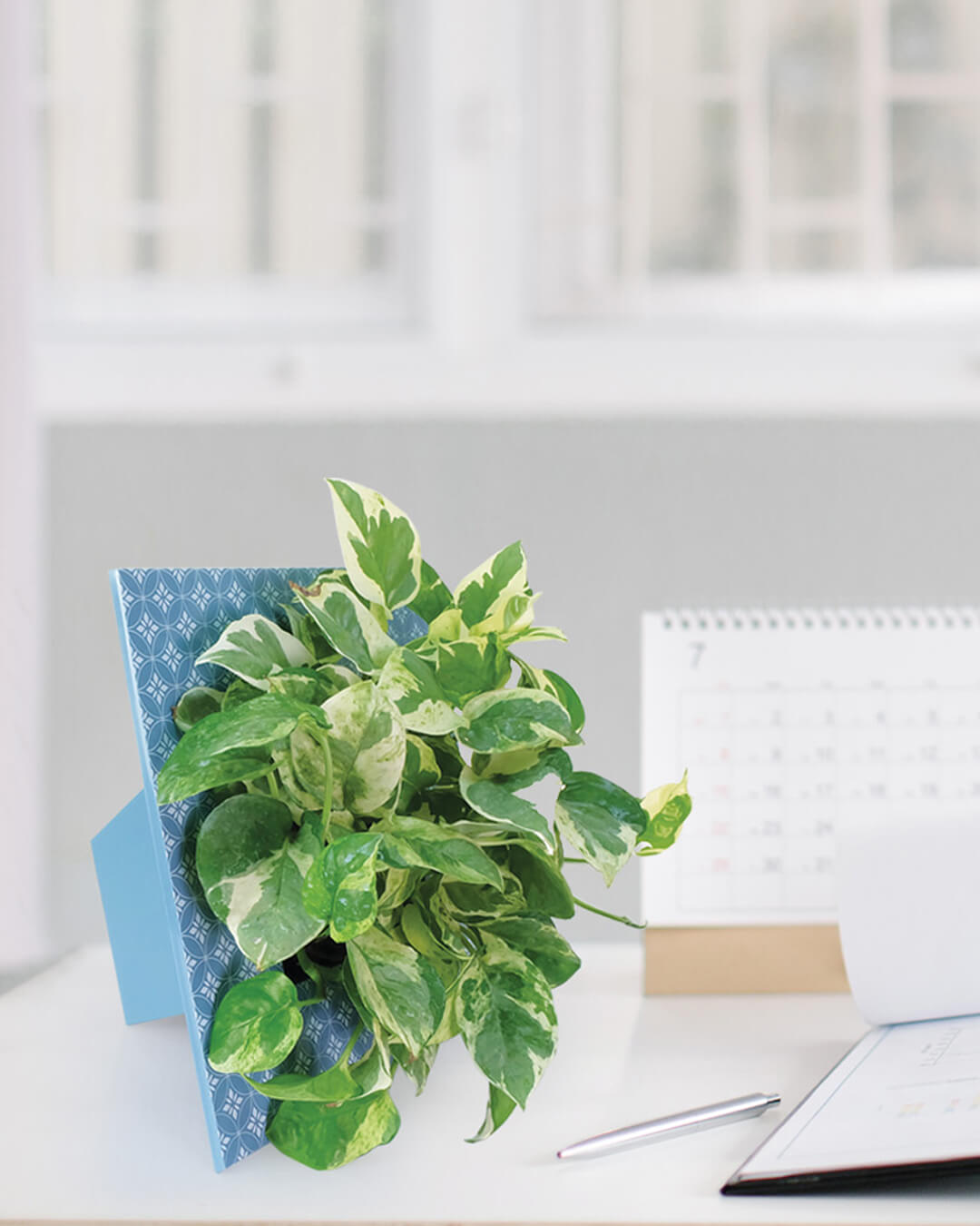 BABA FRAME POT BLUE COLOUR IN OFFICE DECORATION POT-1