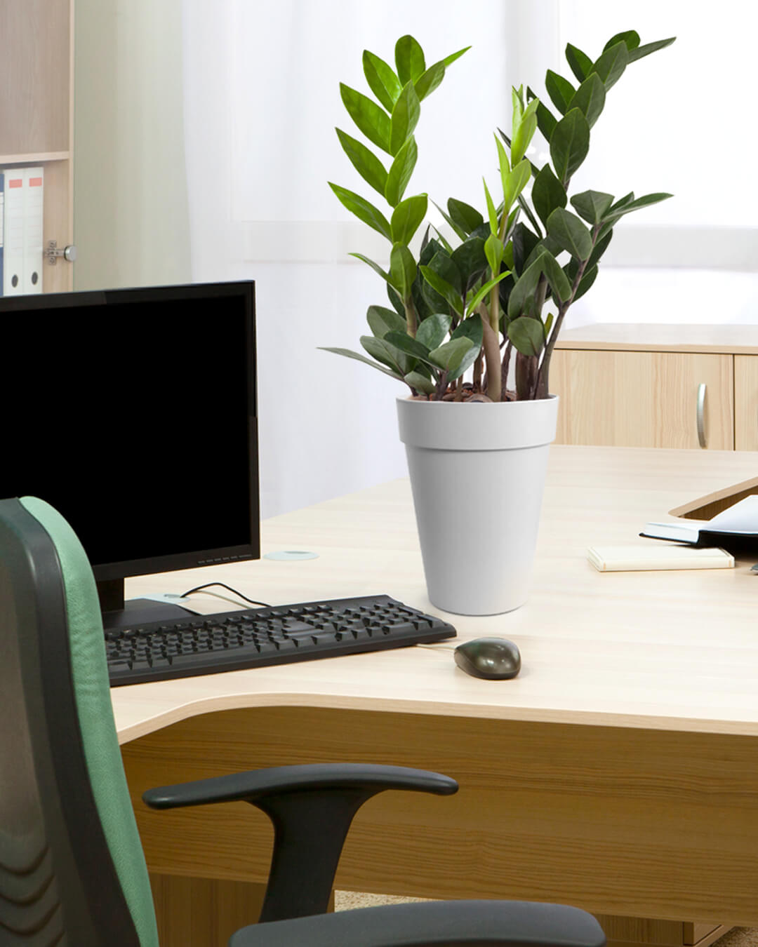 BABA WHITE COLOUR TABLE TOP FLOWER POT IN OFFICE-1