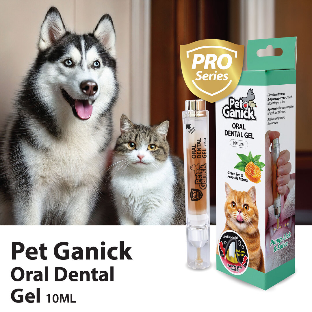 Oral Dental Gel