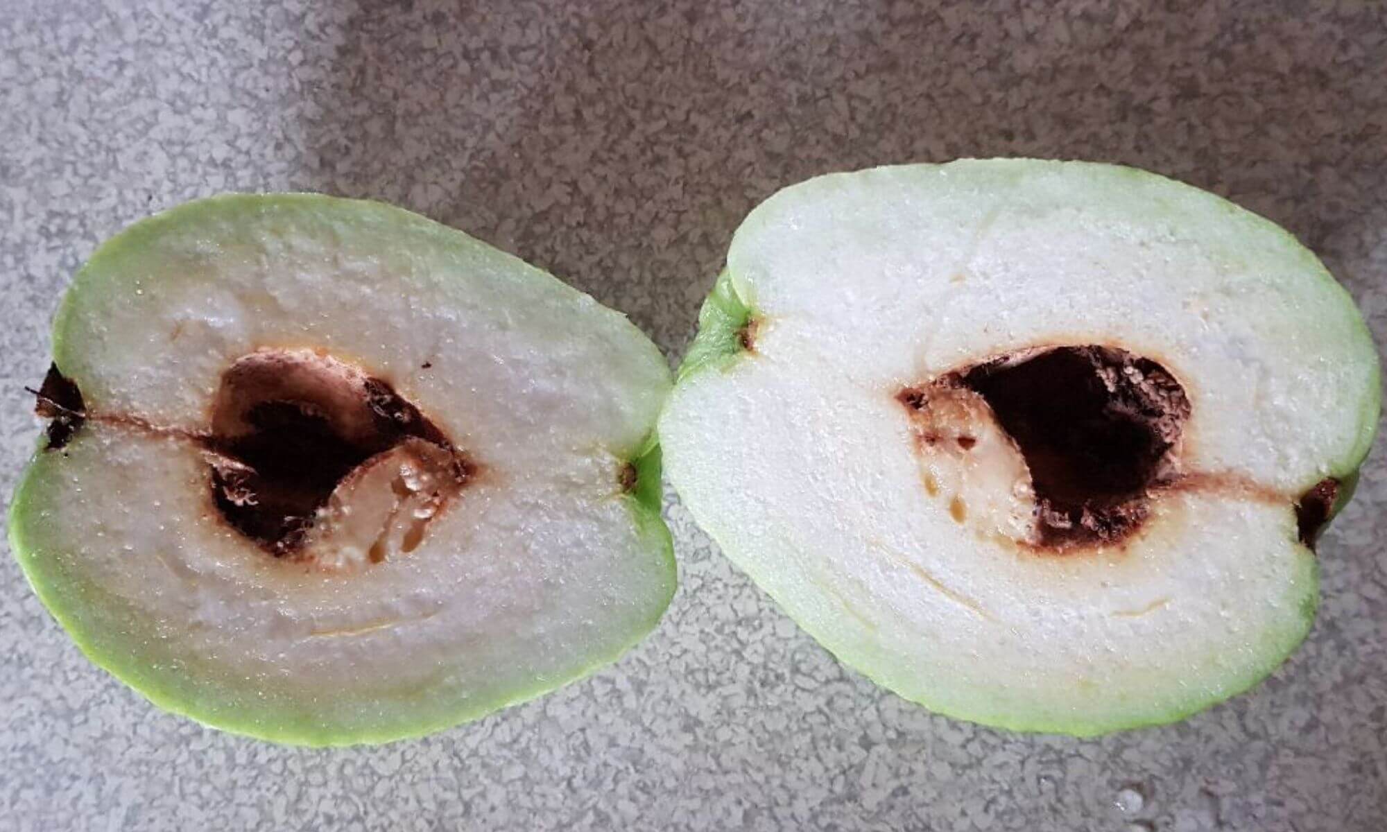 Flesh of the fruit has blackheart