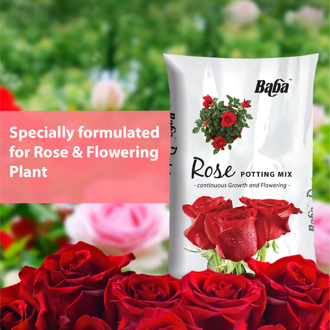 Rose Potting Mix