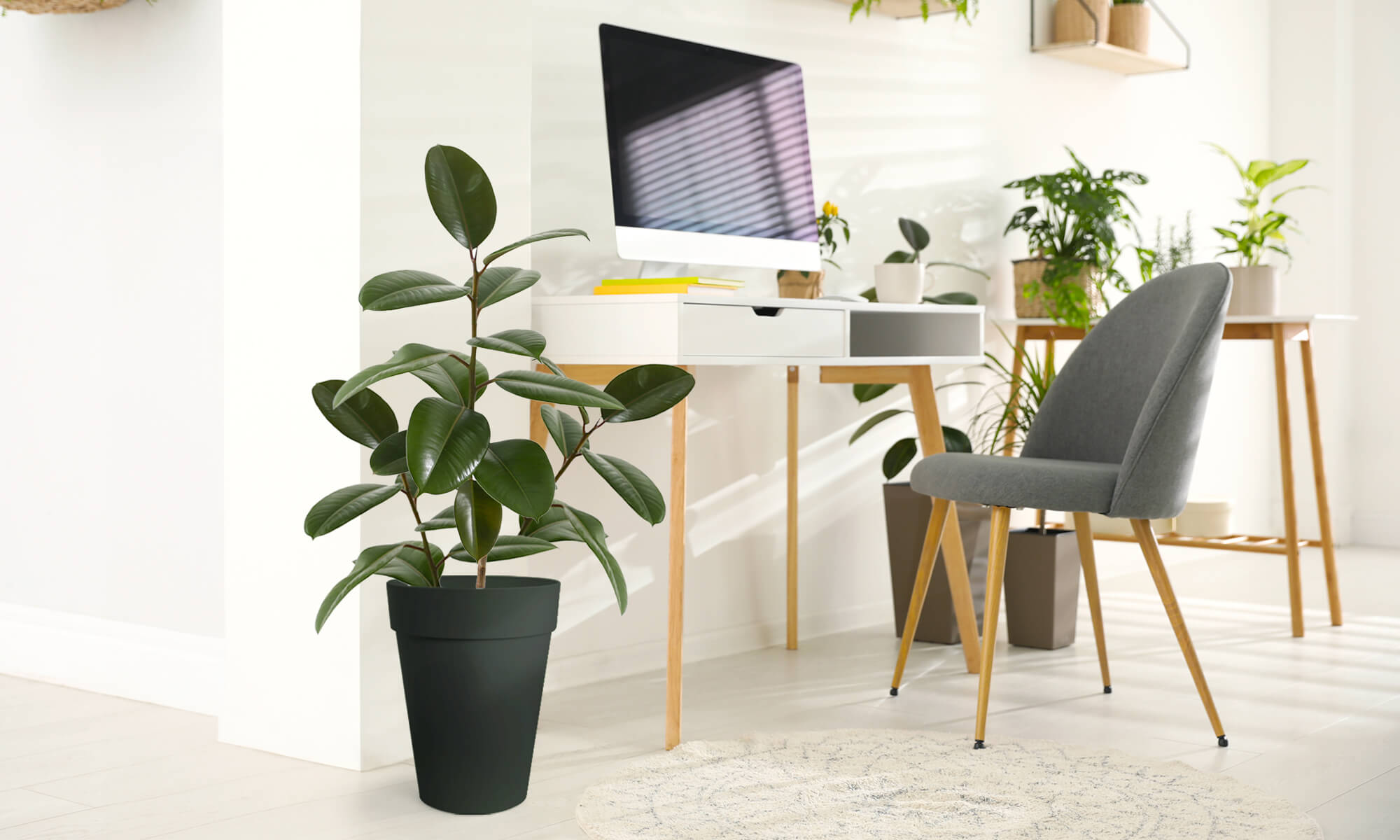 BABA ZEN GREY COLOUR FLOWER POT IN STDY ROOM